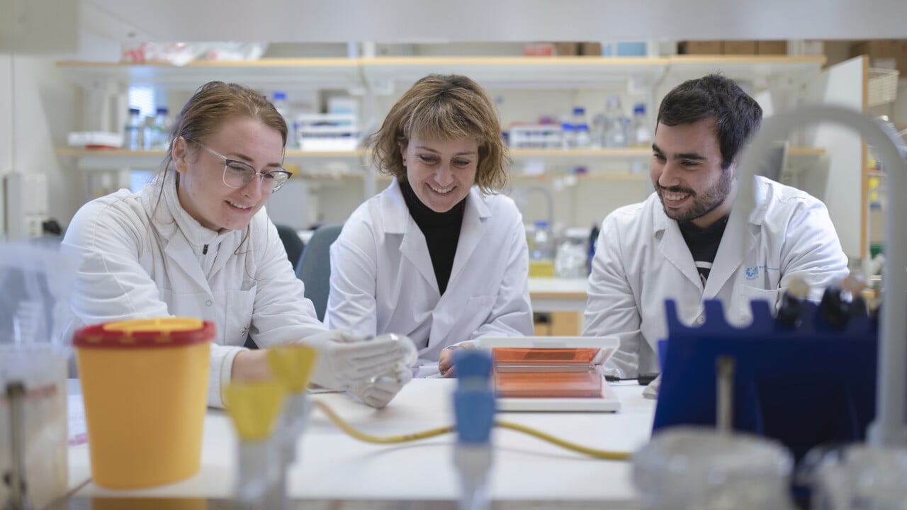 Two women and one man are seen working together in a lab.