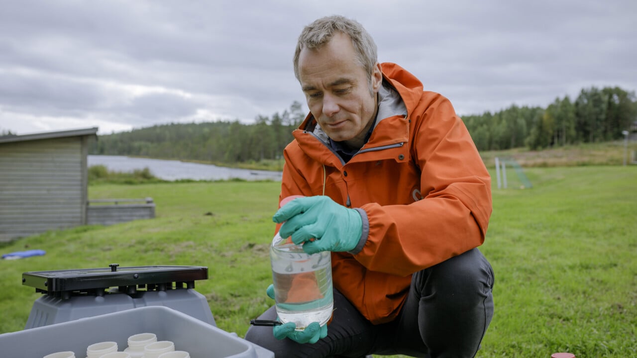 Portr&auml;tt av Patrik Andersson, professor i milj&ouml;kemi, Kemiska institutionen, Ume&aring; universitet.