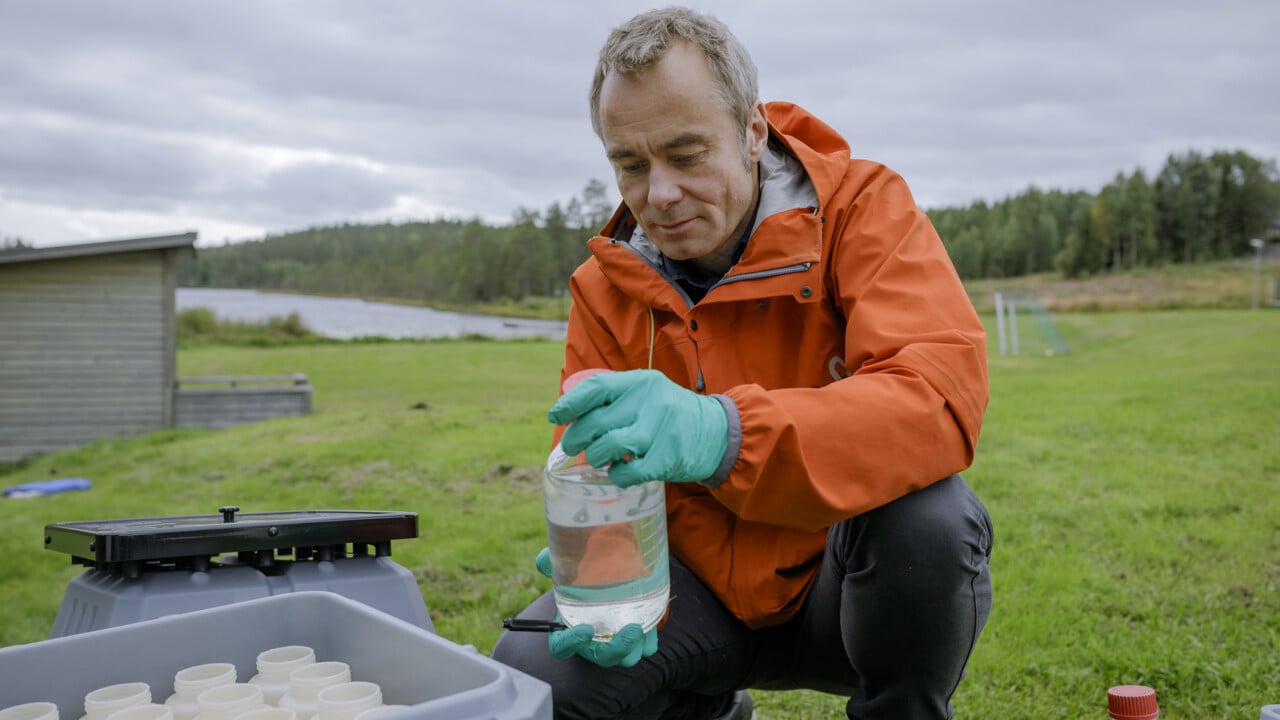 Portr&auml;tt av Patrik Andersson, professor i milj&ouml;kemi, Kemiska institutionen, Ume&aring; universitet.