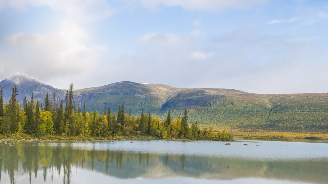 Naturbild fr&aring;n Aktse i Jokkmokk under sommaren