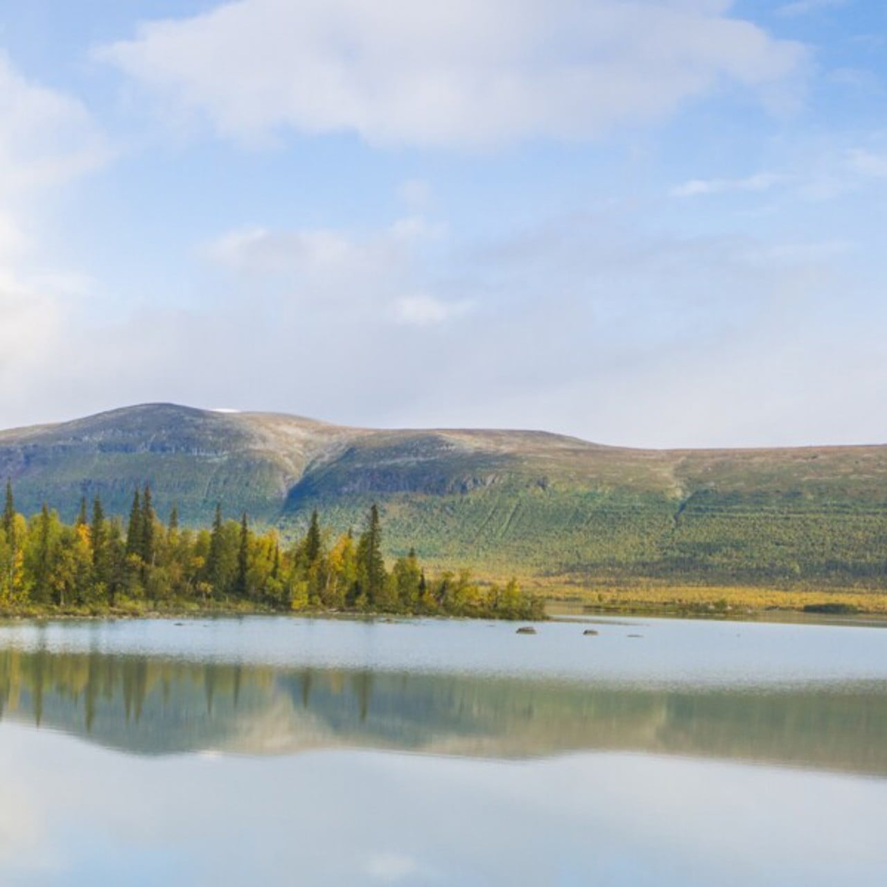Naturbild fr&aring;n Aktse i Jokkmokk under sommaren
