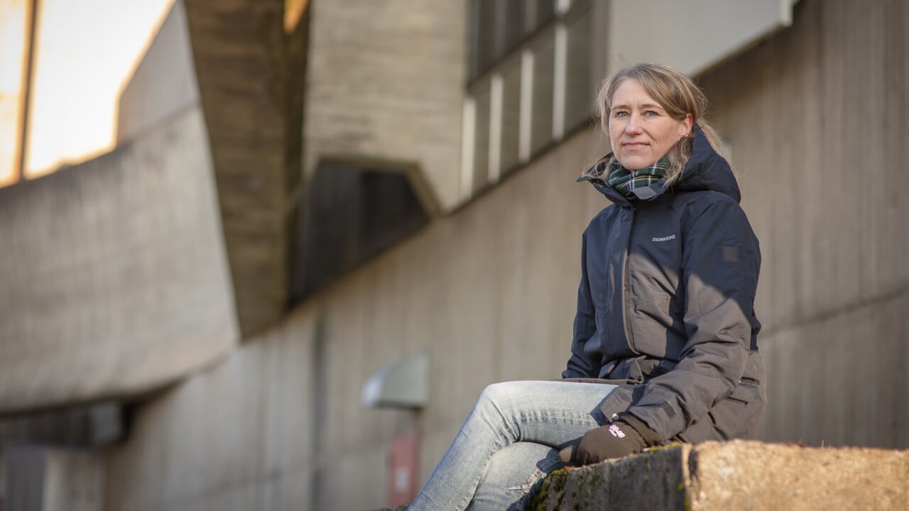 bilder till t&auml;nk Ann-Kristin Bergquist