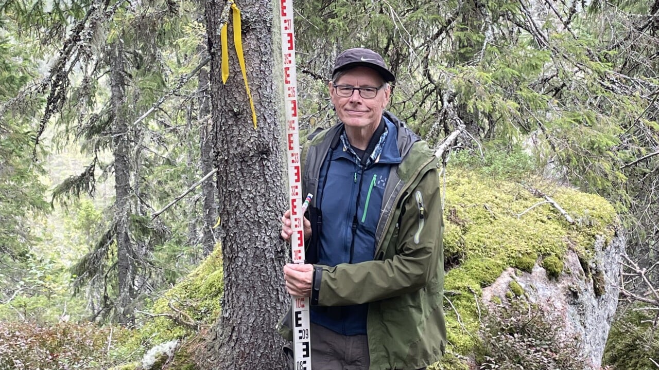 Bild p&aring; Per-Anders Esseen i Skuleskogen