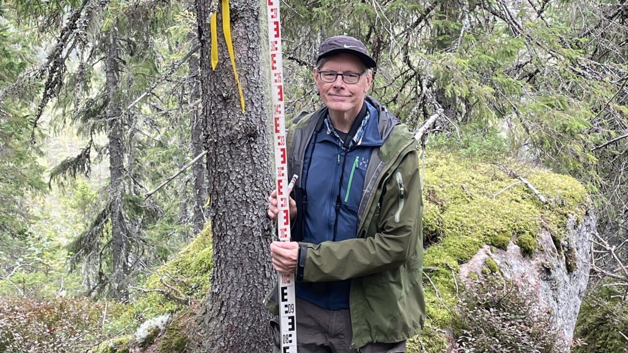 Bild p&aring; Per-Anders Esseen i Skuleskogen