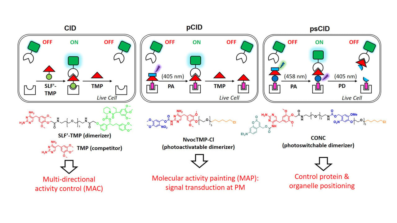 Chemical and chemo-optogenetics