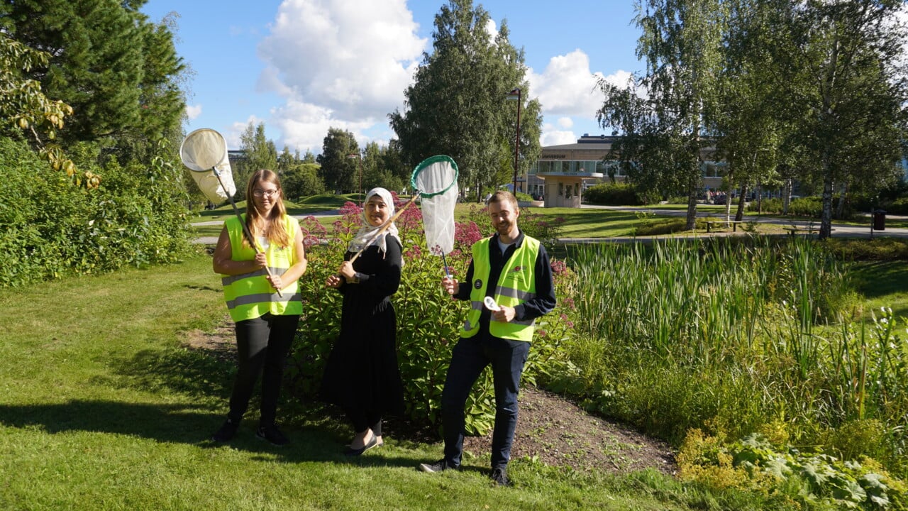 Inventering av pollinat&ouml;rer