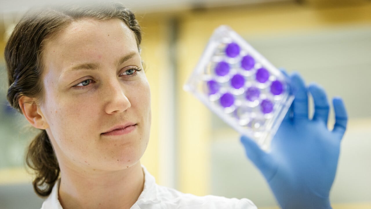 Ebba Rosendal, doktorand vid Institutionen f&ouml;r klinisk mikrobiologi, studerar ett antikroppsprov.