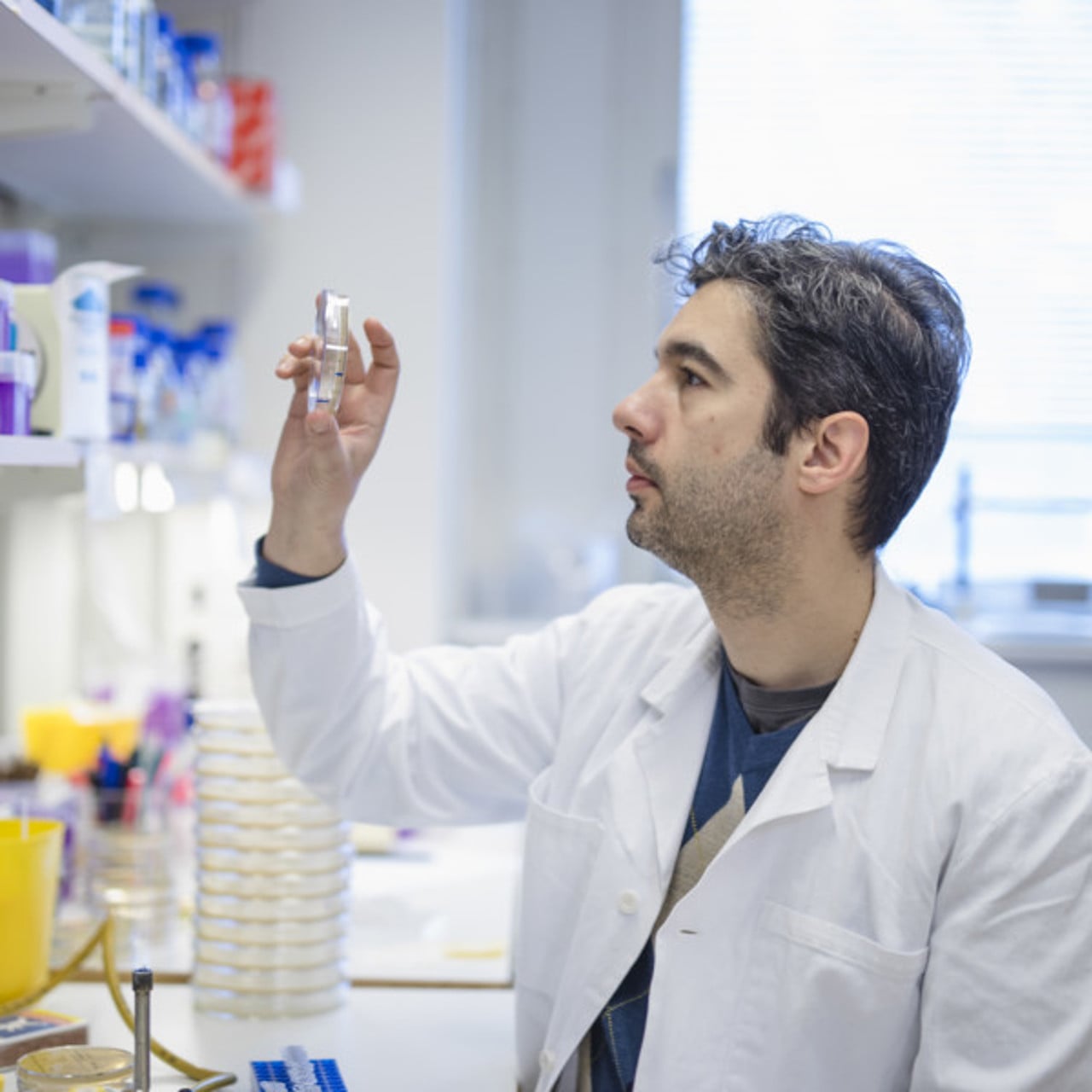 Portr&auml;tt p&aring; Felipe Cava, universitetslektor vid Institutionen f&ouml;r molekyl&auml;rbiologi, Ume&aring; universitet.