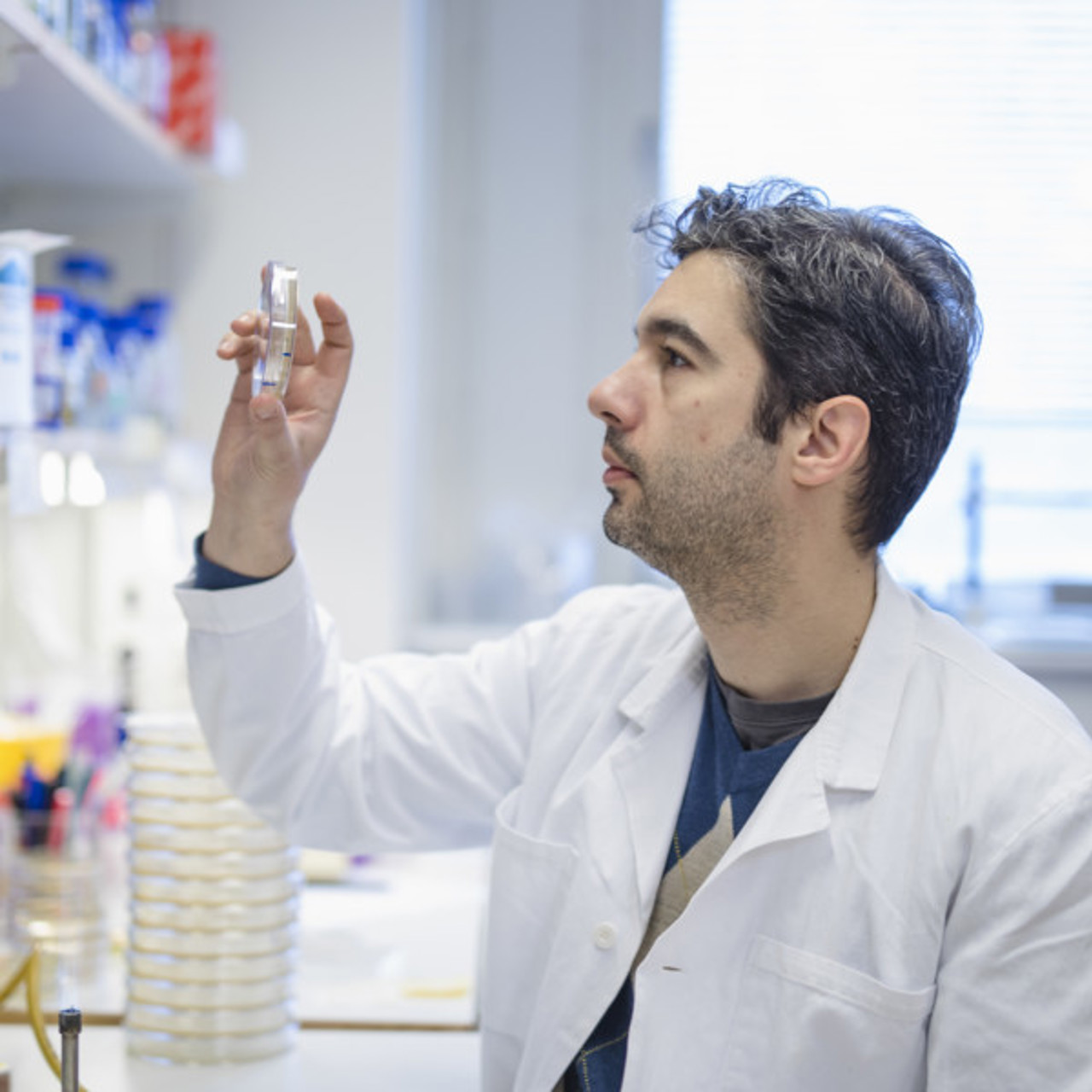 Portr&auml;tt p&aring; Felipe Cava, universitetslektor vid Institutionen f&ouml;r molekyl&auml;rbiologi, Ume&aring; universitet.