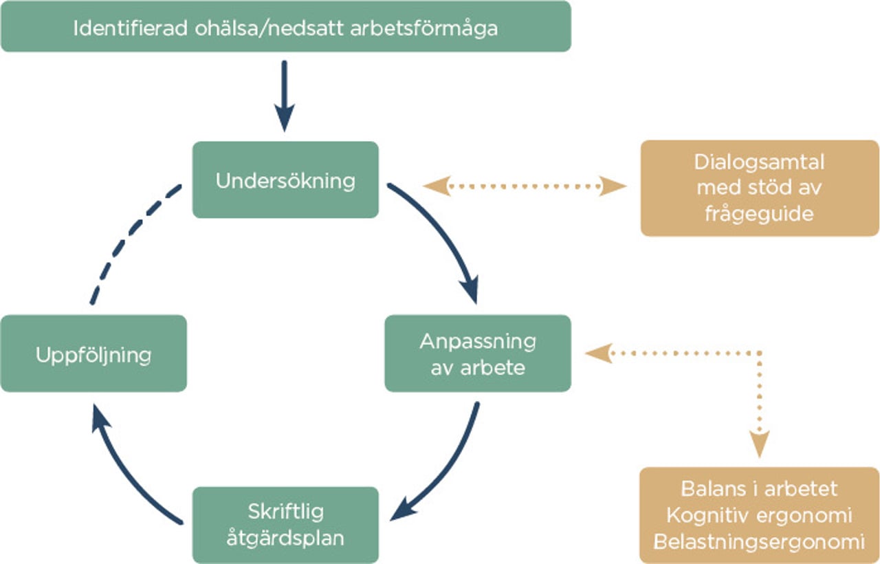Cirkel med pilar fr&aring;n unders&ouml;kning, anpassning av arbete, skriftlig &aring;tg&auml;rdsplan och uppf&ouml;ljning