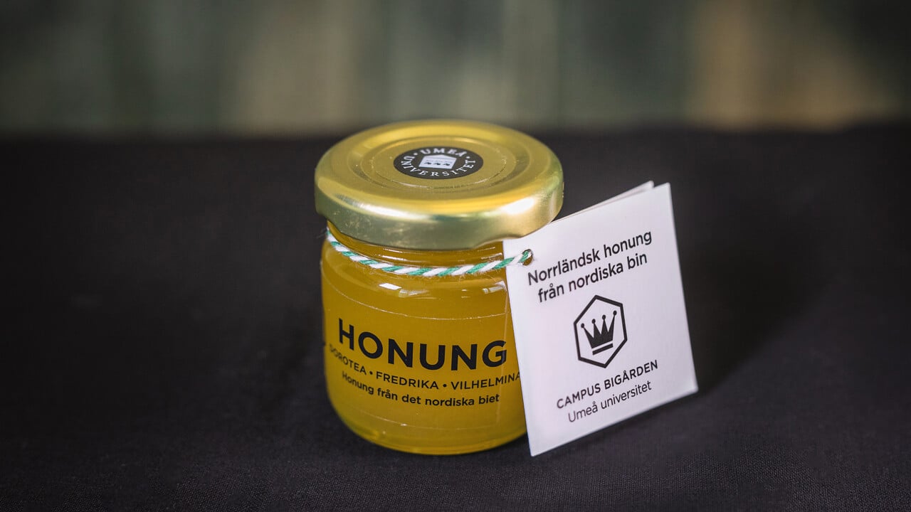 Norrl&auml;ndsk honung fr&aring;n nordiska bin campus big&aring;rden