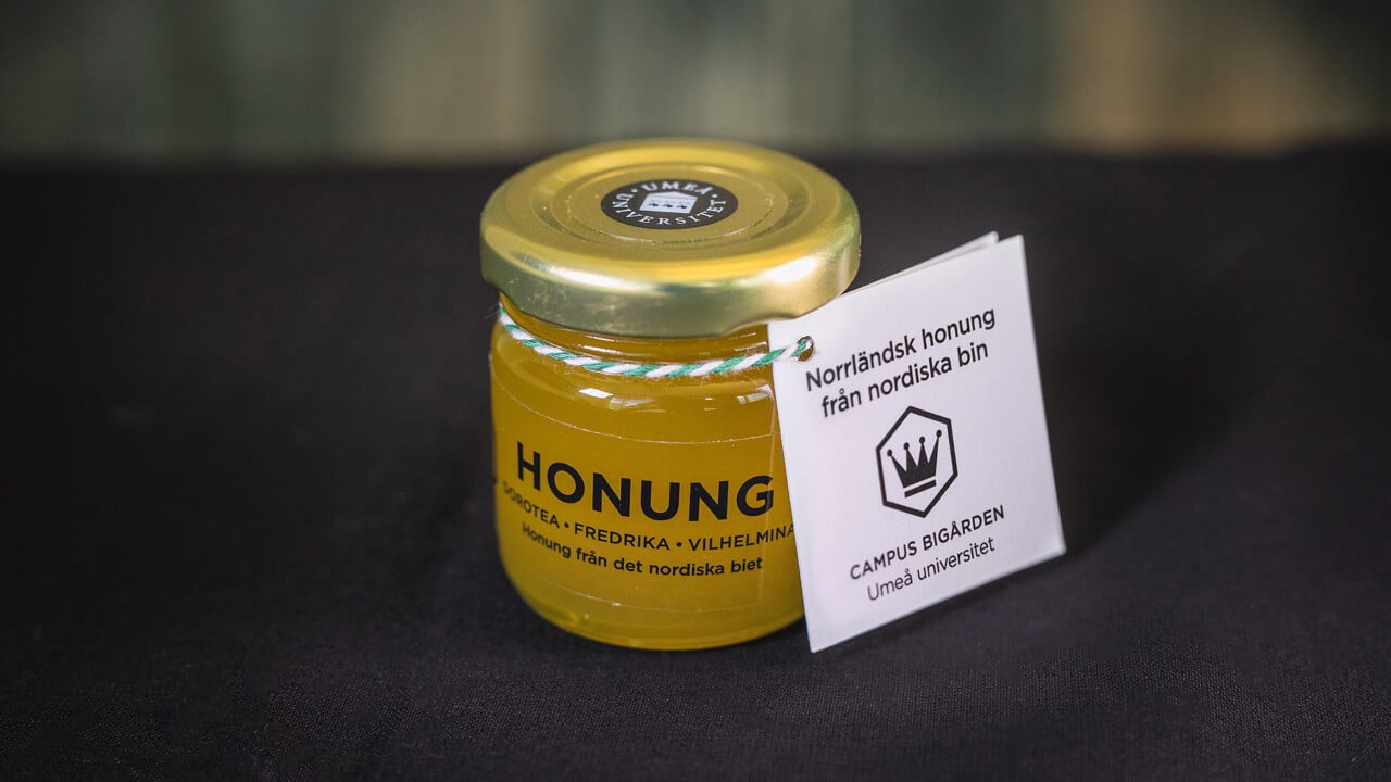 Norrl&auml;ndsk honung fr&aring;n nordiska bin campus big&aring;rden