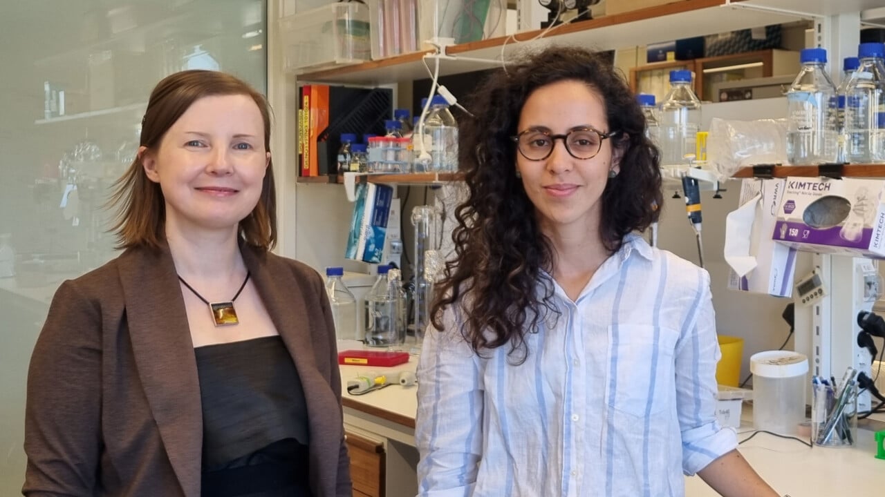 Sara Wilson och Luz Maria González-Castrillón i labbmilj&ouml;