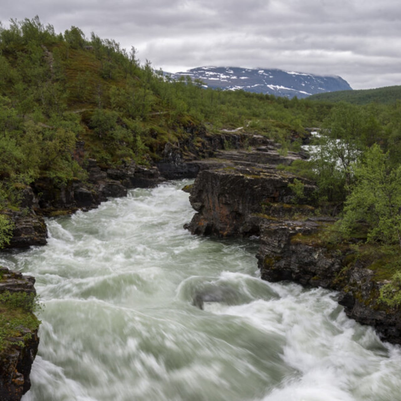 Fors i fj&auml;llb&auml;ck.