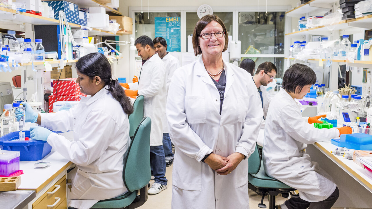 Mar&eacute;ne Landstr&ouml;m, professor/&ouml;verl&auml;kare vid Institutionen f&ouml;r medicinsk biovetenskap, enheten f&ouml;r patologi, Ume&aring; universitet.