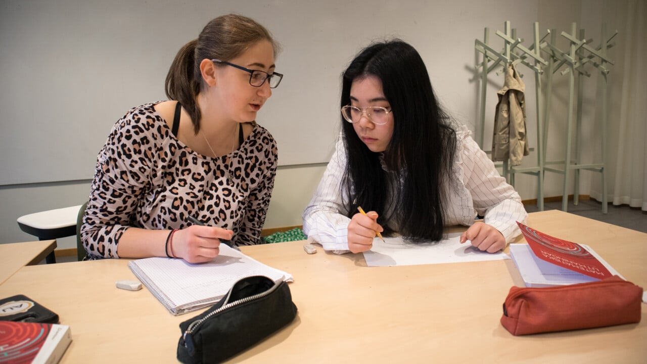 Bild p&aring; gymnasieeleverna Jonna Svedberg Konstantinidou och Shenying Xia