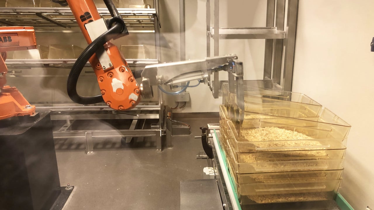 En robot fyller rena burar med sp&aring;n och travar dem p&aring; en vagn