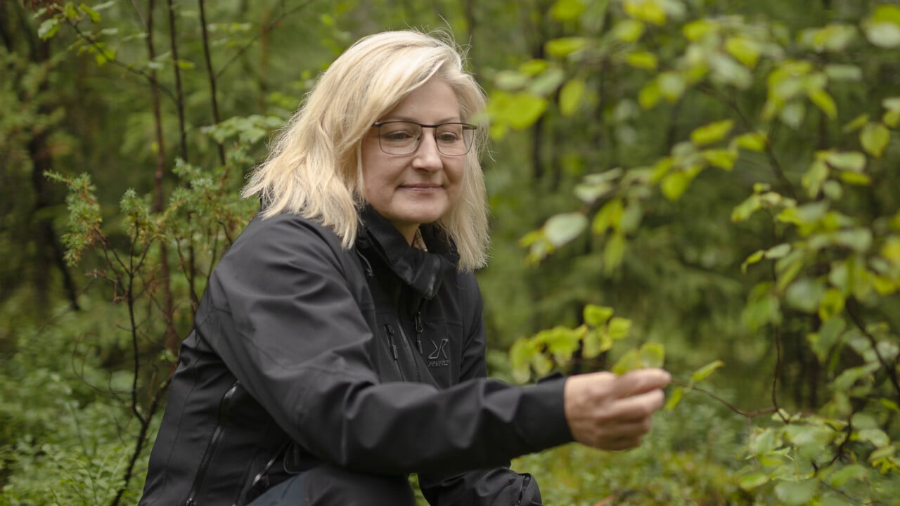 Camilla Sandstr&ouml;m