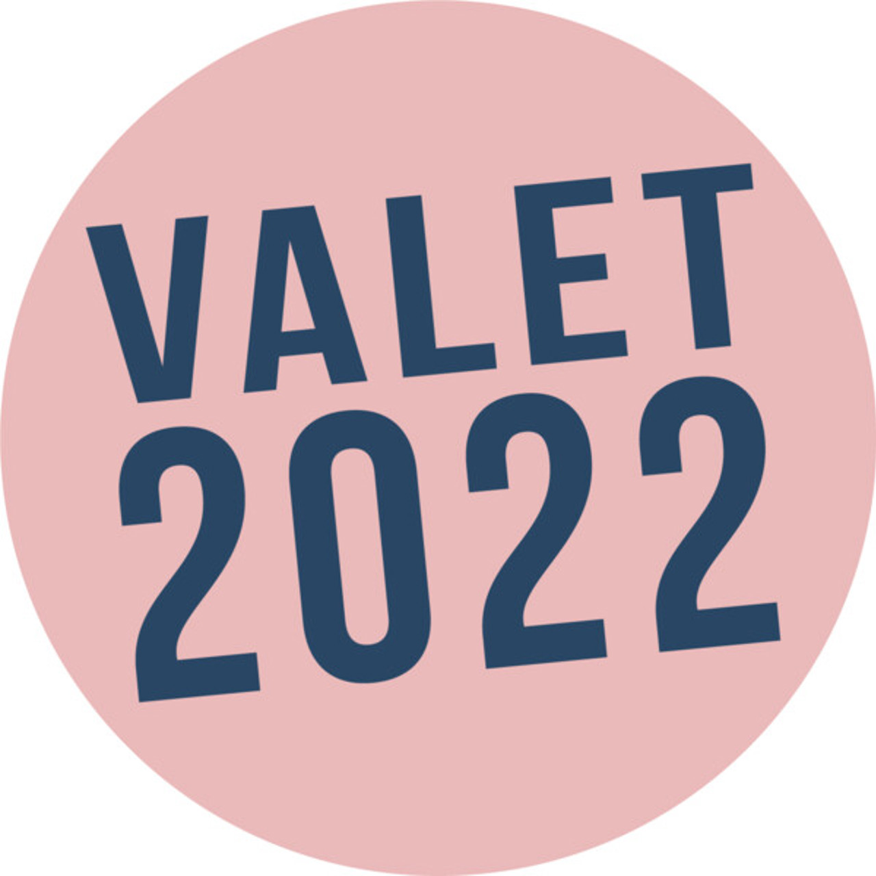 Rund rosa ring med bl&aring; text i d&auml;r det st&aring;r valet 2022
