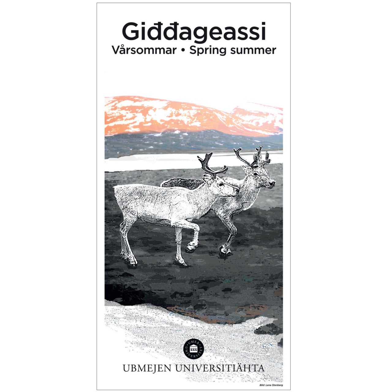 V&aring;rsommar, samisk &aring;rstid. Bild Lena Stenberg