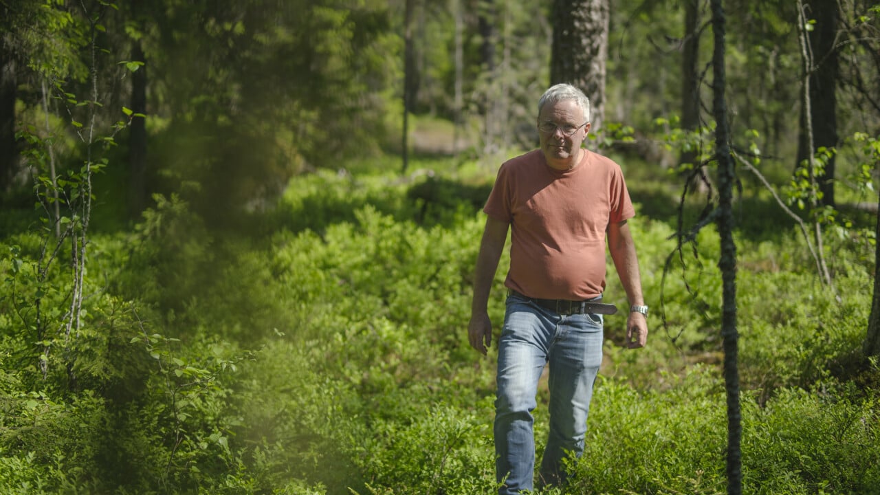David Wardle promenerar i gr&ouml;n skog
