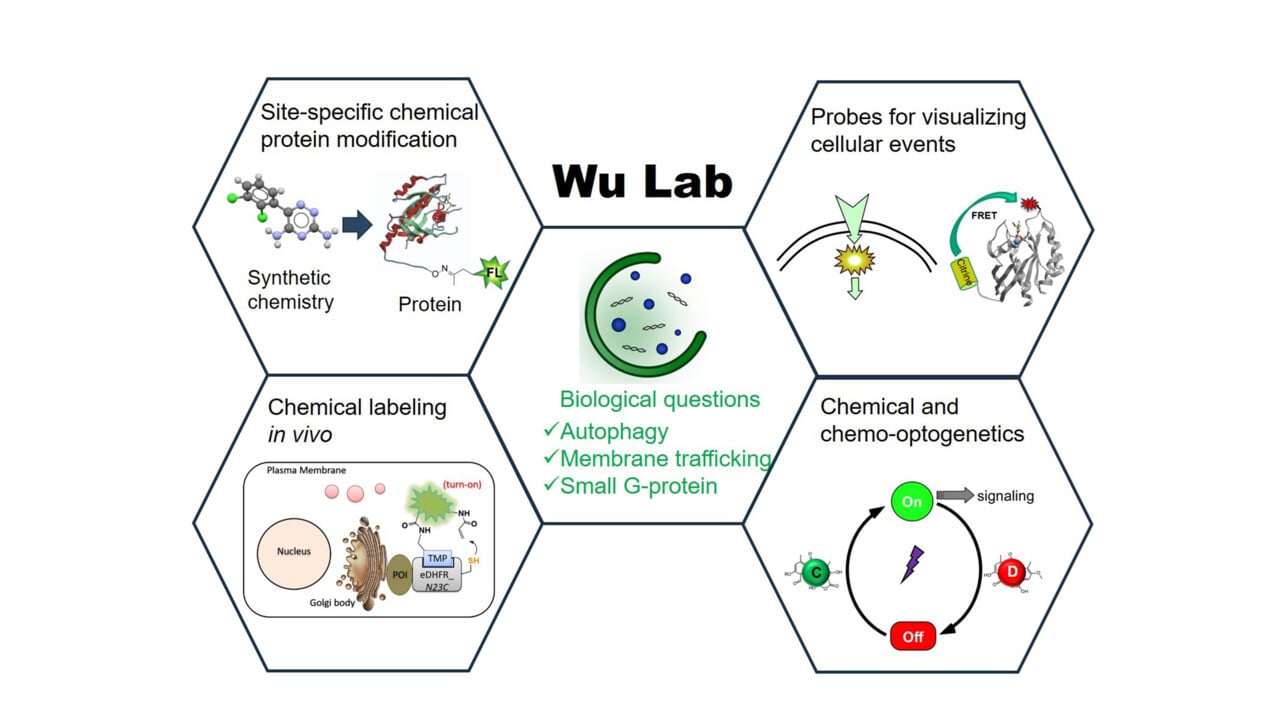Yaowen Wu Lab concept