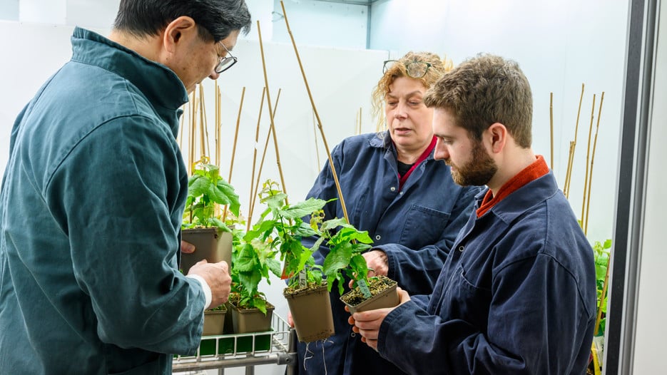 A group of people standing around a plant