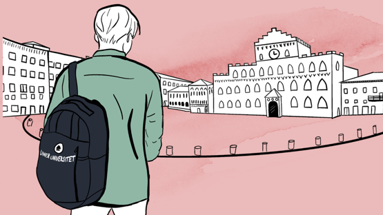 Bilden illustrerar ett av Umeå universitets utvecklingsområden i Policy för internationalisering: Utlandserfarenhet. Den får användas i samband med kommunikation om internationalisering.