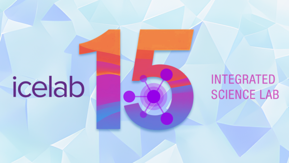 icelab 15 years image