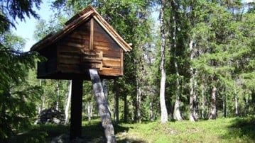 Njalla - samisk matbod - från kulturområdet kring kapellet vid Gillesnuole, som ligger längs vägen mellan Ammarnäs och Sorsele. Sommaren 2011 Fotografen Lena Maria Nilsson arbetar som projektkoordinator vid Arcum.