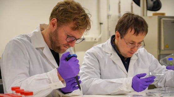 Jonas Segervald och Dmitry Malyshev vid Institutionen för fysik.