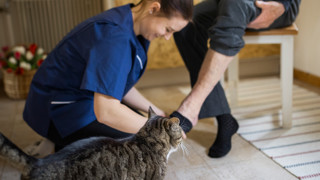 Kvinnlig hemtjänstpersonal hemma hos äldre man