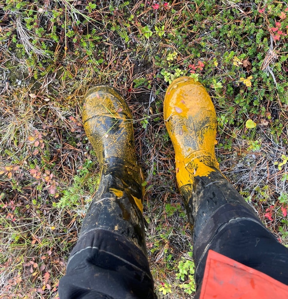 Top-down prespective of a pair of legs and wellington boots