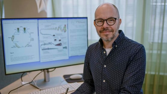 Ludvig Lizana
Professor vid Institutionen för fysik
Enhet: Statistical Physics of Living Systems
Roll: Biträdande prefekt