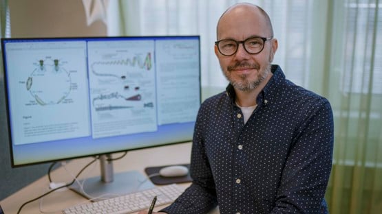 Ludvig Lizana
Professor vid Institutionen för fysik
Enhet: Statistical Physics of Living Systems
Roll: Biträdande prefekt