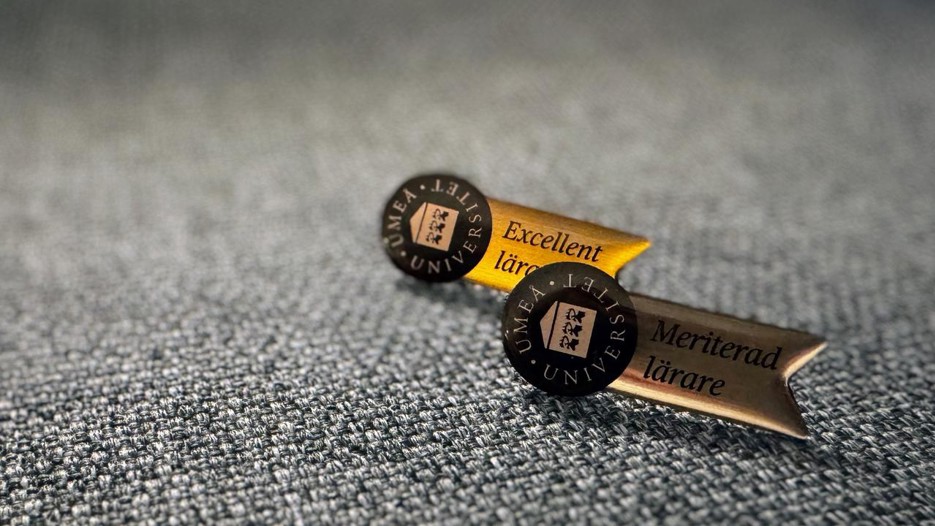 pins pedagosik meritering