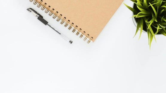 A notebook, a pen and a plant are on a desk.