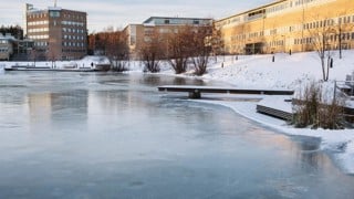 Dammen på campus en solig förmiddag. Is täcker dammen.