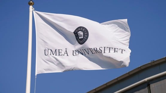 universitets logotyp på flaggor