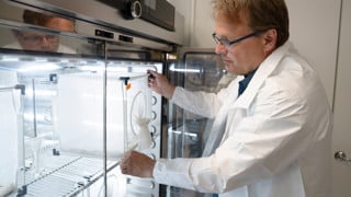 Oliver Billker
Professor vid Institutionen för molekylärbiologi
Enhet: Grupp Oliver Billker
Anknuten som forskare till Molekylär Infektionsmedicin, Sverige (MIMS)
Roll: Föreståndare