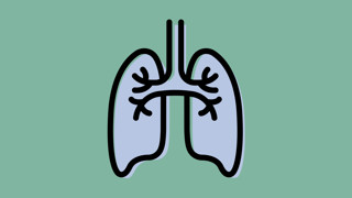 Illustration för forskningsområde Lungmedicin vid Institutionen för folkhälsa och klinisk medicin.
