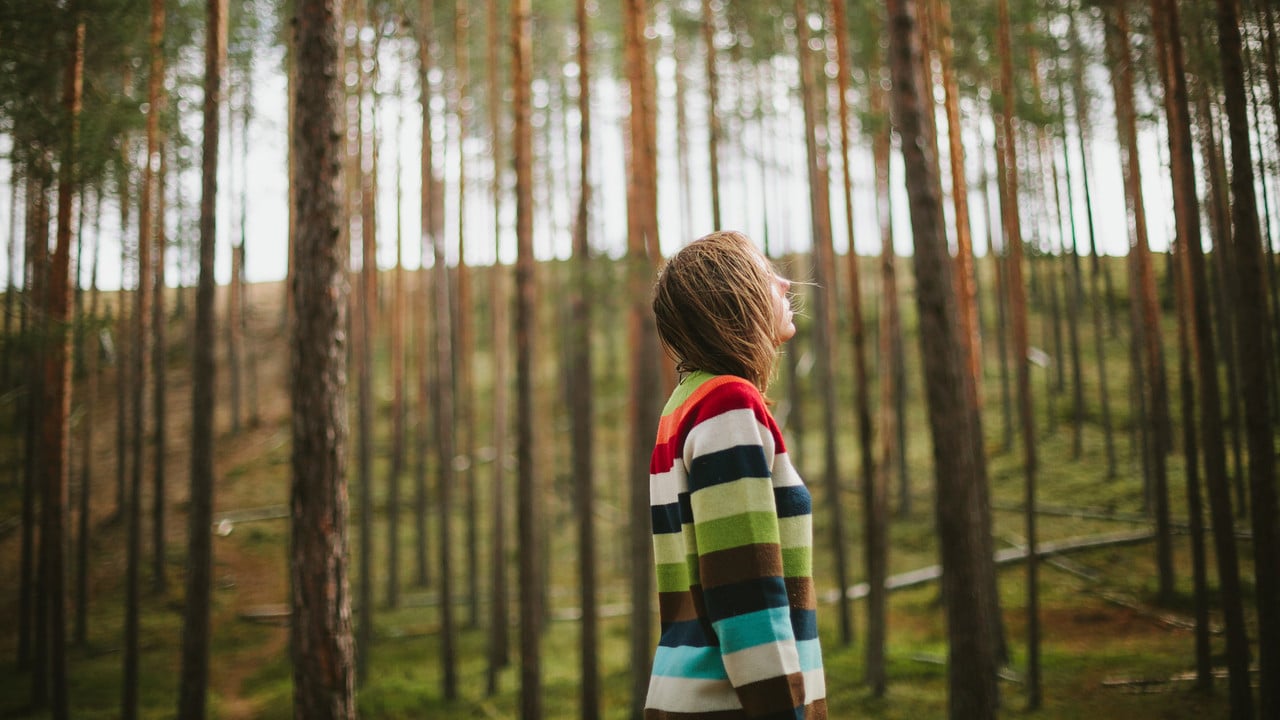 Vara i skogen.