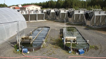 SLU´s Algae Pilot at Dåva offering the possibility to grow 40 000 L of microalgae in wastewater outdoor. Responsible for the pilot is Dr. Francesco Gentili.