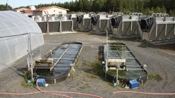 SLU´s Algae Pilot at Dåva offering the possibility to grow 40 000 L of microalgae in wastewater outdoor. Responsible for the pilot is Dr. Francesco Gentili.