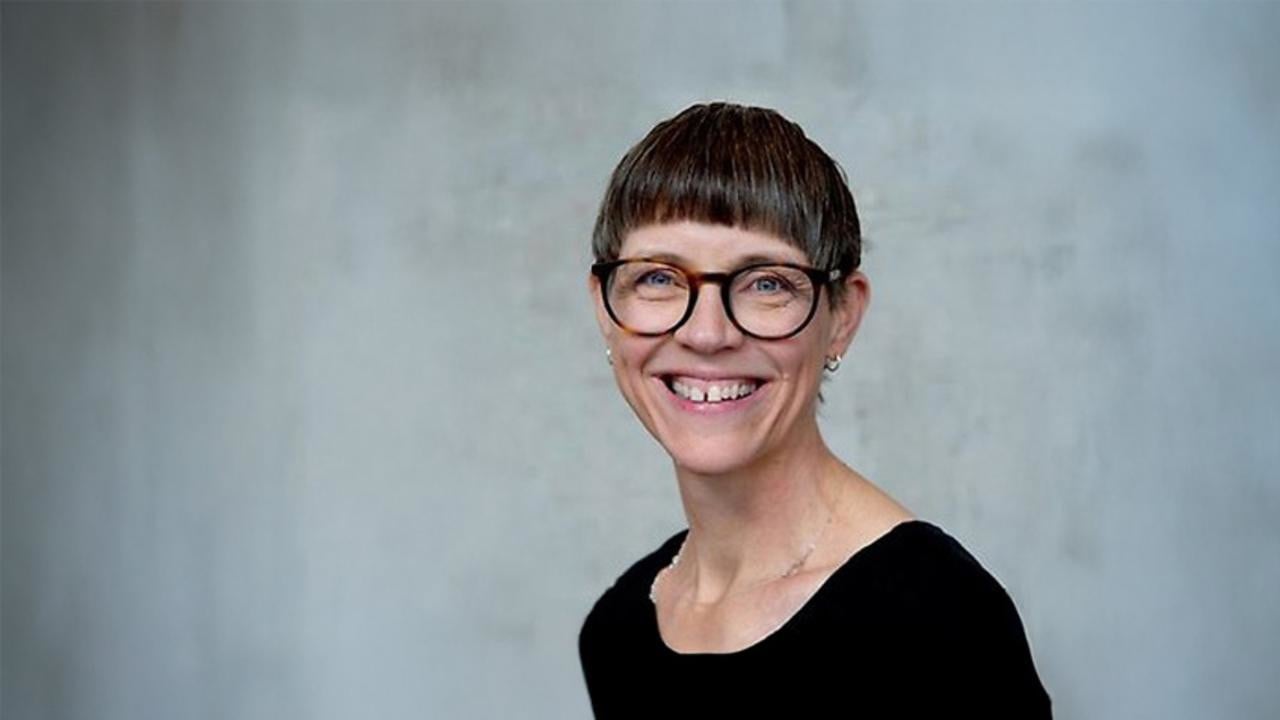 Lotta Björkman, Södertörns högskola