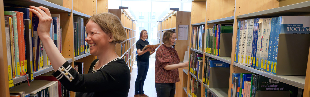 Magdalena Johansson
Cecilia Johansson 
Kristina Johansson

Tre systrar som promoverades tillsammans under Vårpromotionen 2024

Vårpromotion
Doktorerar
Promoveras
Läkare
Institutionen för folkhälsa och klinisk medicin