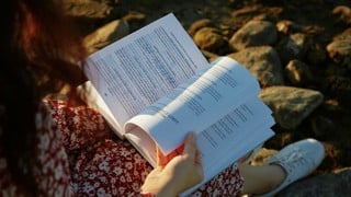 Person reading a thesis