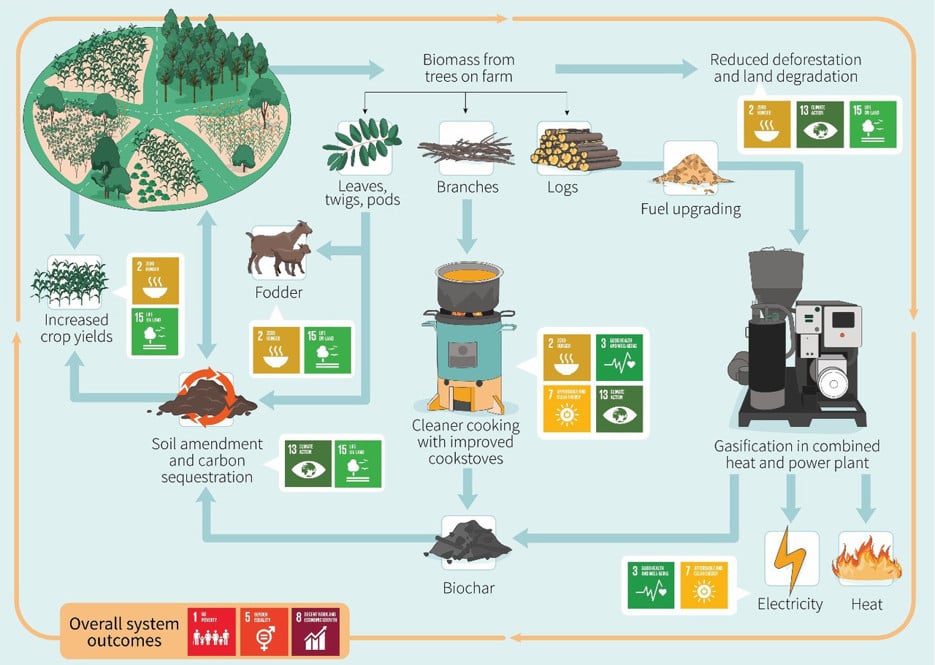 system över bioenergi
