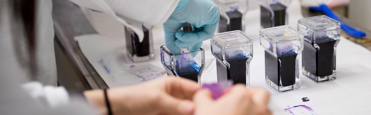 Studenter som läser civilingenjörsprogrammet i bioteknik labbar.