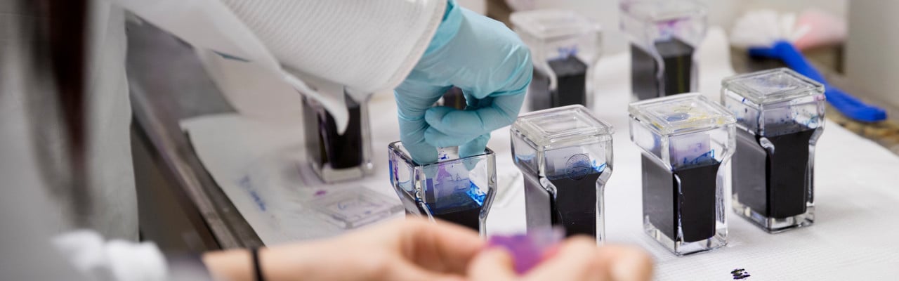 Studenter som läser civilingenjörsprogrammet i bioteknik labbar.